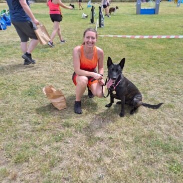 Honey – złoty medal w agility!